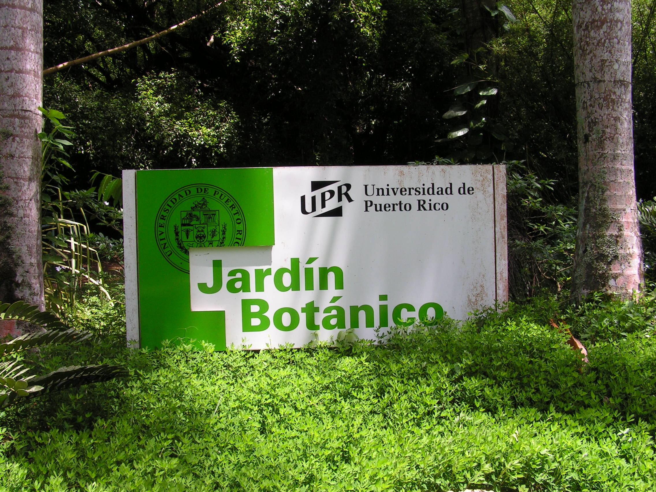 ./2005/Puerto Rico/Part 2/PICT0149.JPG